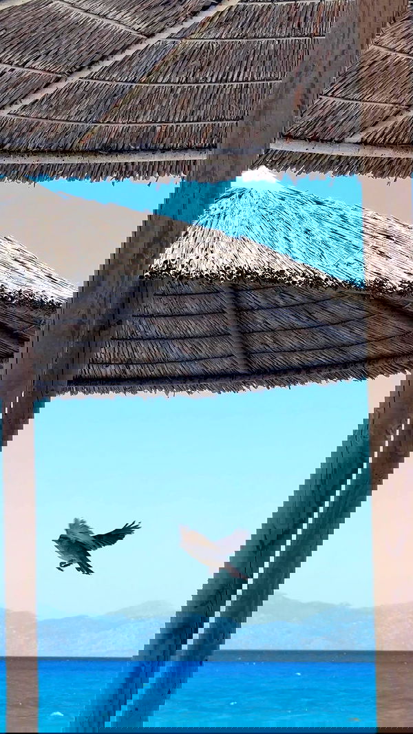 itsilanosh itsilanosh archive image