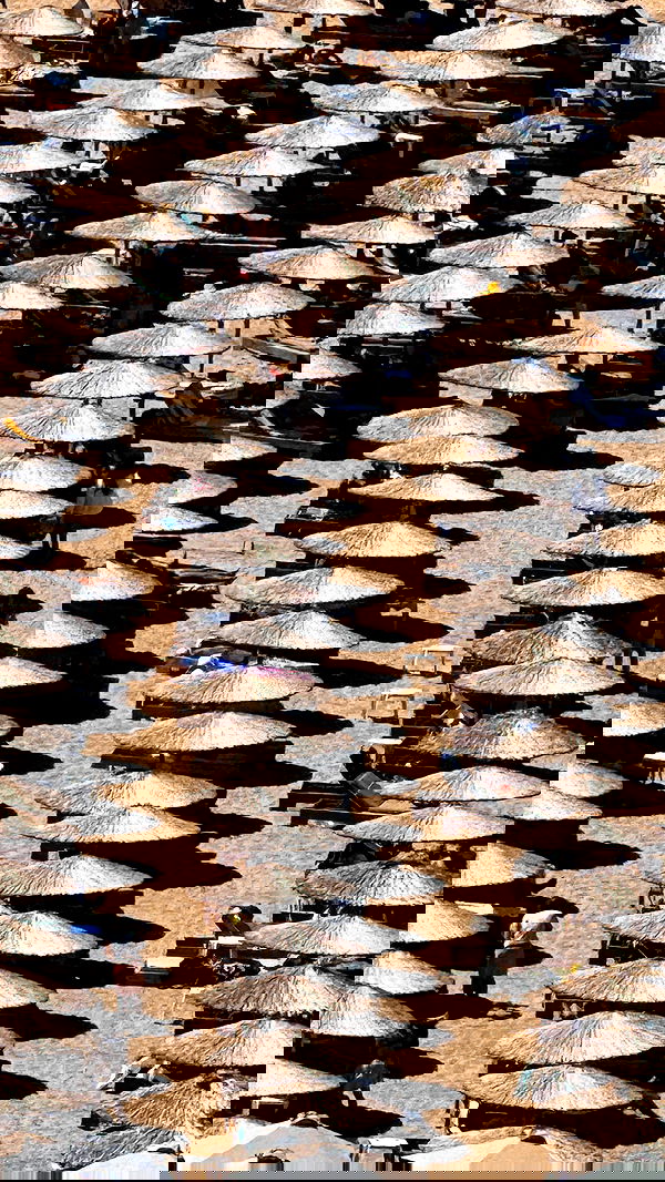 itsilanosh itsilanosh archive image