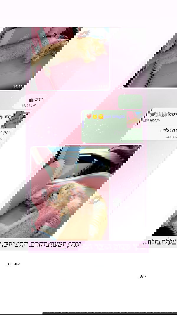 itsilanosh itsilanosh archive image