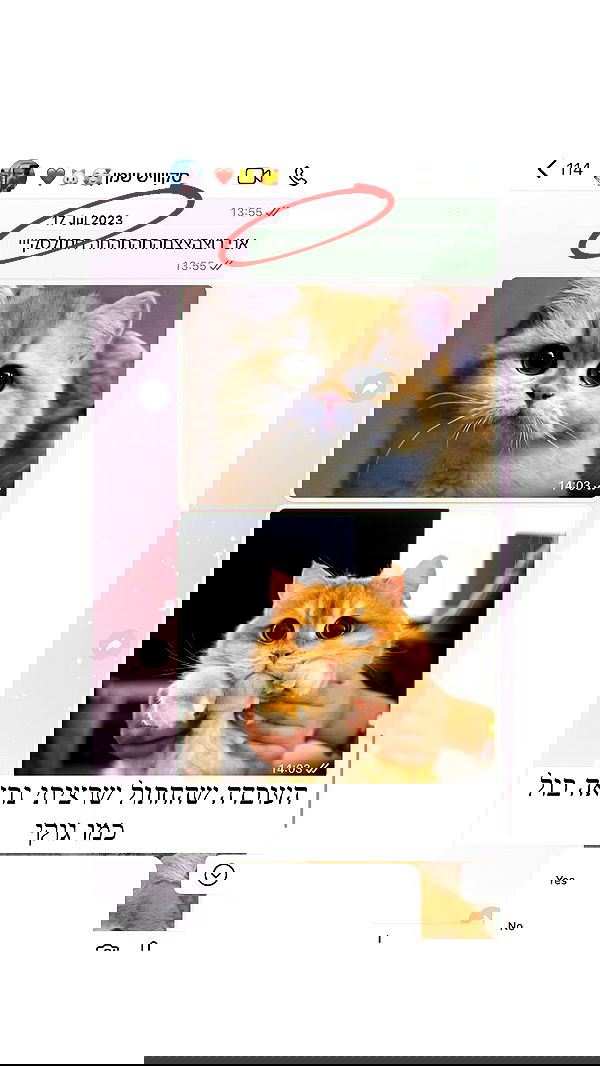 itsilanosh itsilanosh archive image