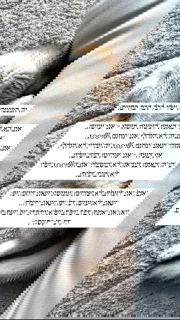 itsilanosh itsilanosh archive image