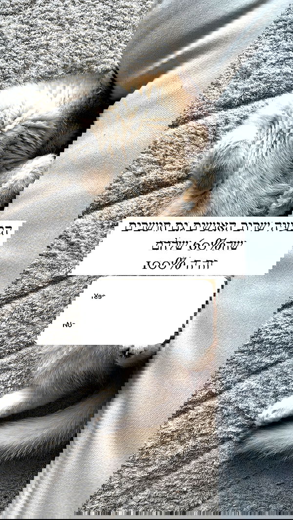 itsilanosh itsilanosh archive image