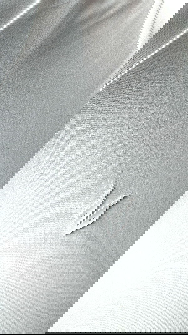 itsilanosh itsilanosh archive image