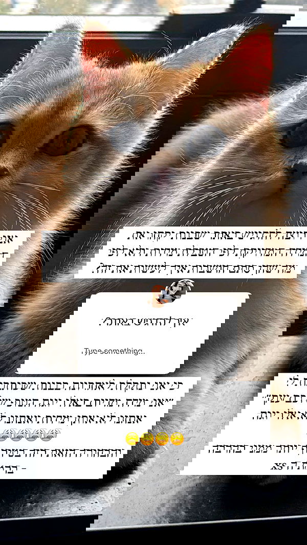 itsilanosh itsilanosh archive image