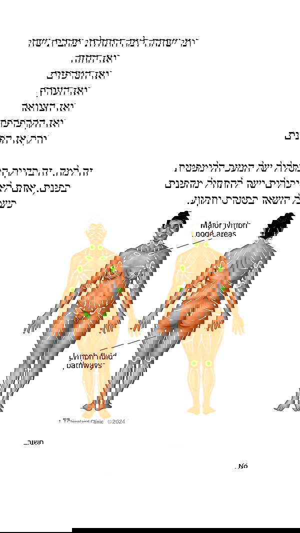 itsilanosh itsilanosh archive image