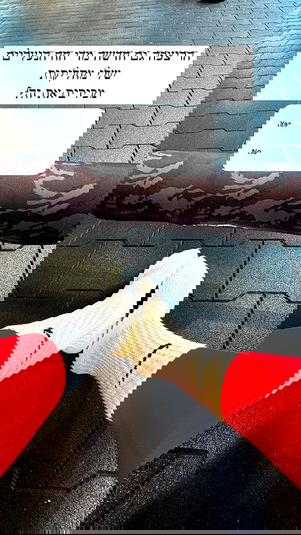 itsilanosh itsilanosh archive image