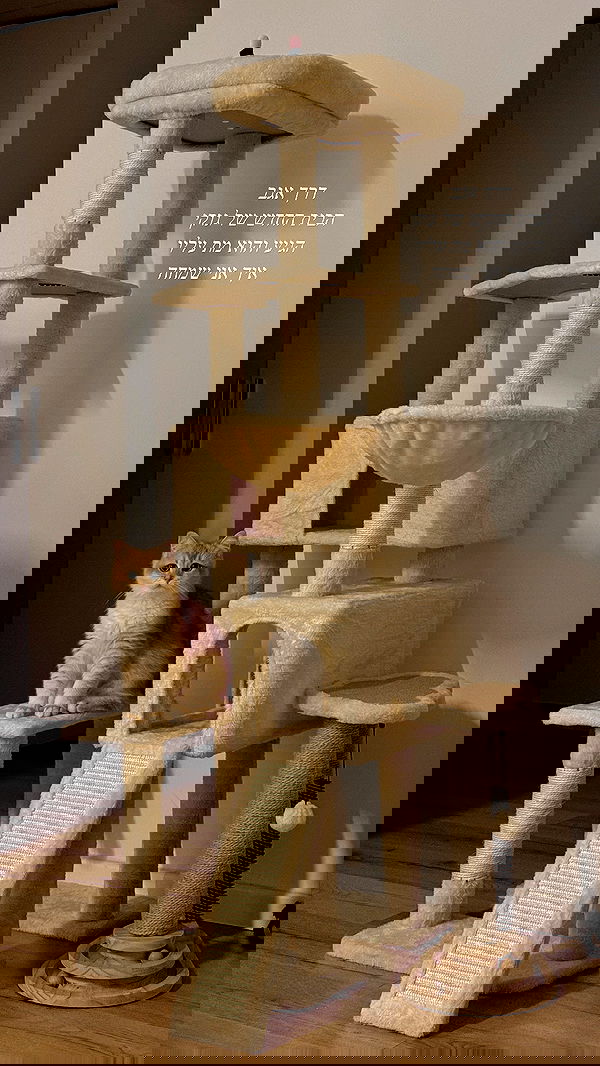 itsilanosh itsilanosh archive image