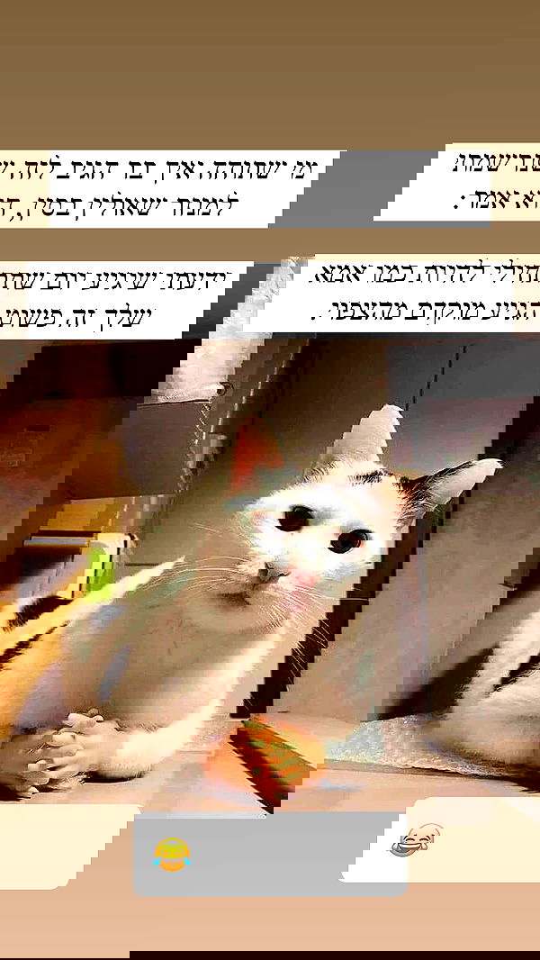 itsilanosh itsilanosh archive image