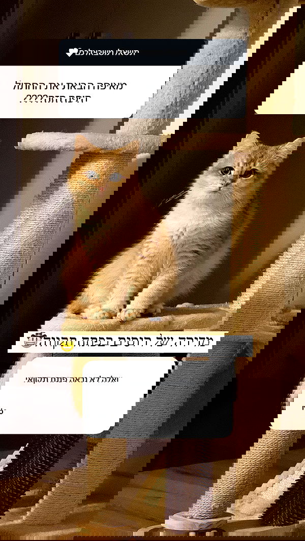 itsilanosh itsilanosh archive image