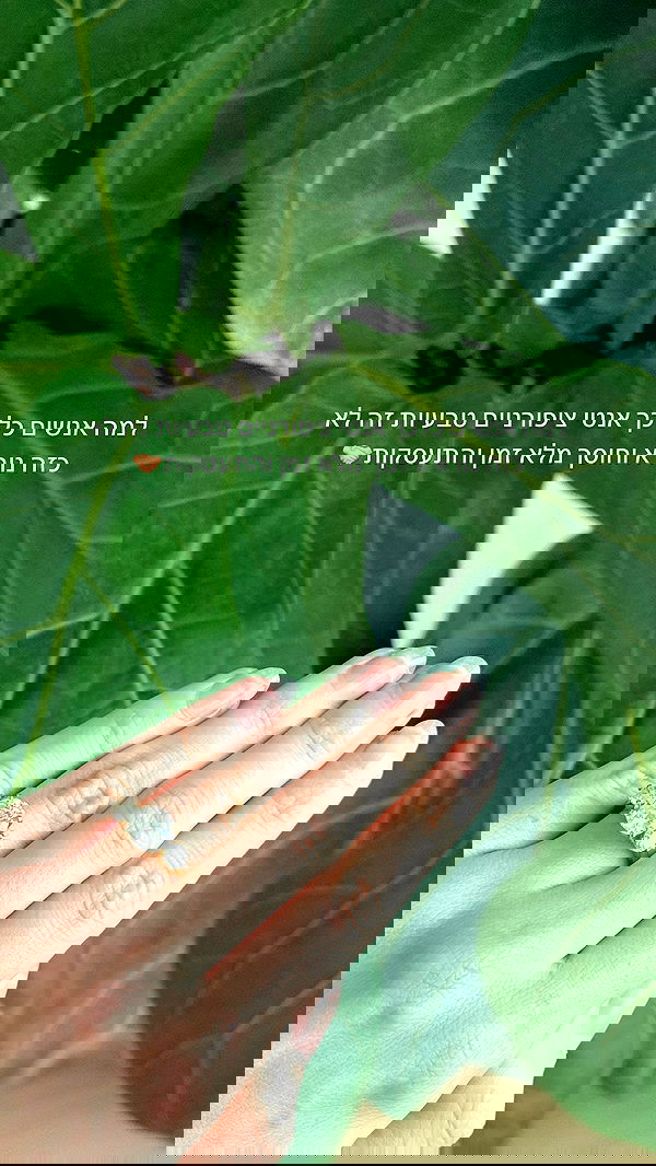 itsilanosh itsilanosh archive image