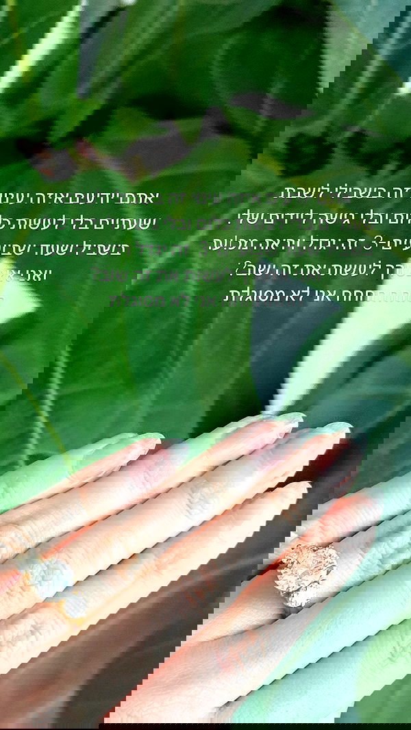 itsilanosh itsilanosh archive image