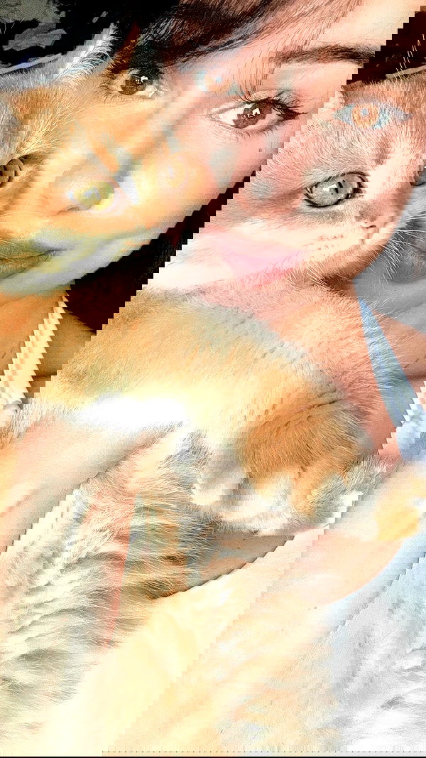 itsilanosh itsilanosh archive image