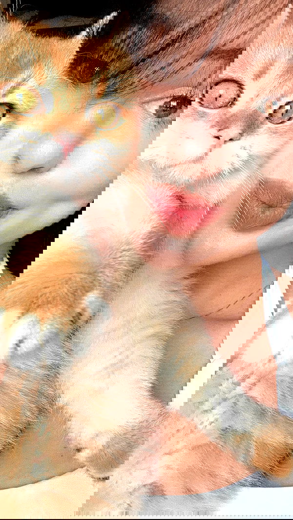 itsilanosh itsilanosh archive image