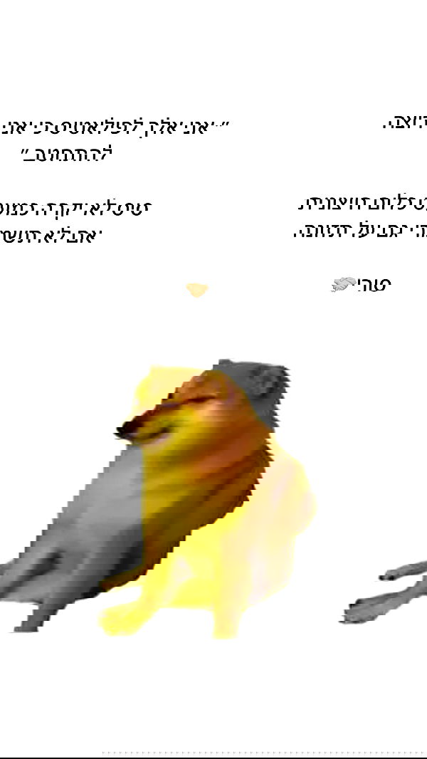 itsilanosh itsilanosh archive image