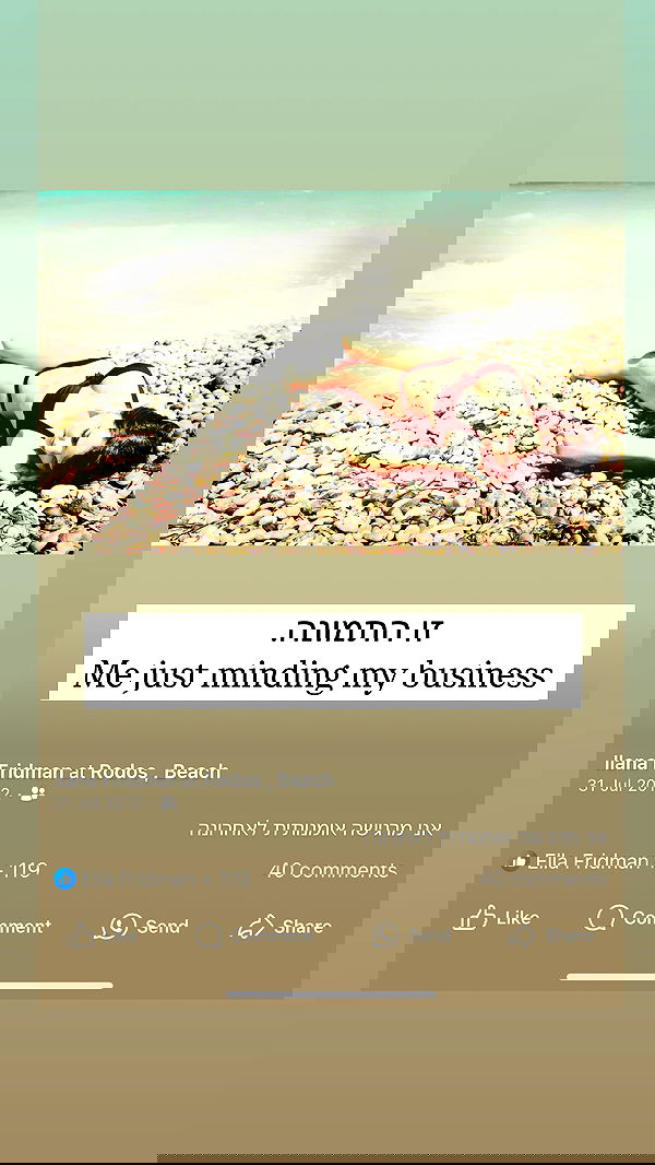 itsilanosh itsilanosh archive image