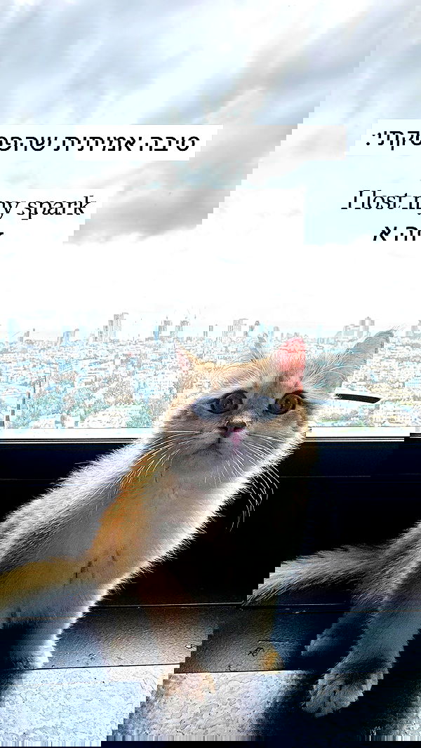 itsilanosh itsilanosh archive image