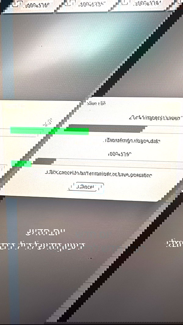 itsilanosh itsilanosh archive image