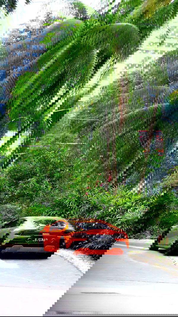 itsilanosh itsilanosh archive image