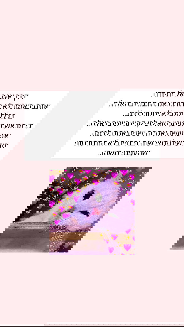 itsilanosh itsilanosh archive image