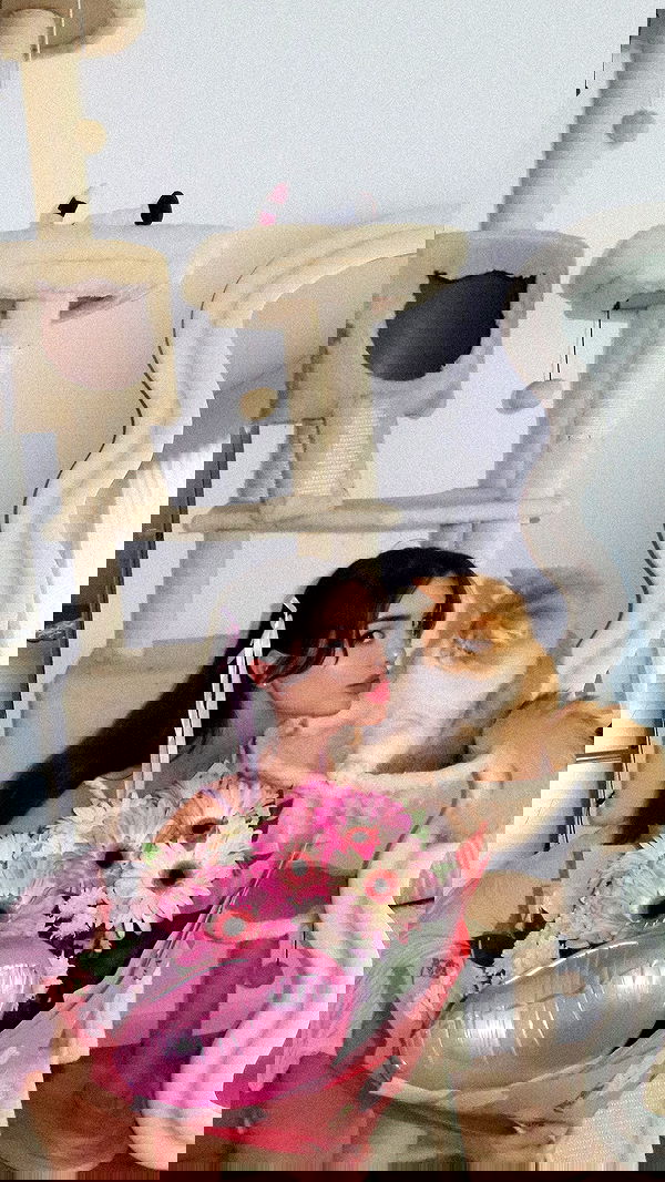 itsilanosh itsilanosh archive image