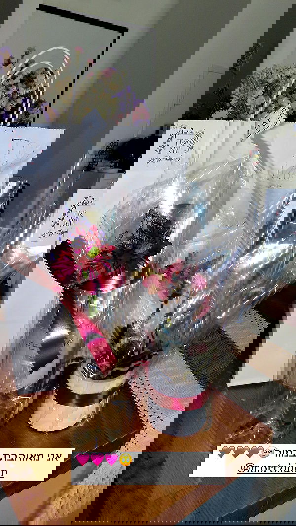 itsilanosh itsilanosh archive image