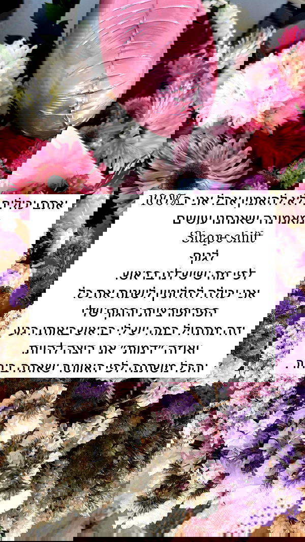 itsilanosh itsilanosh archive image