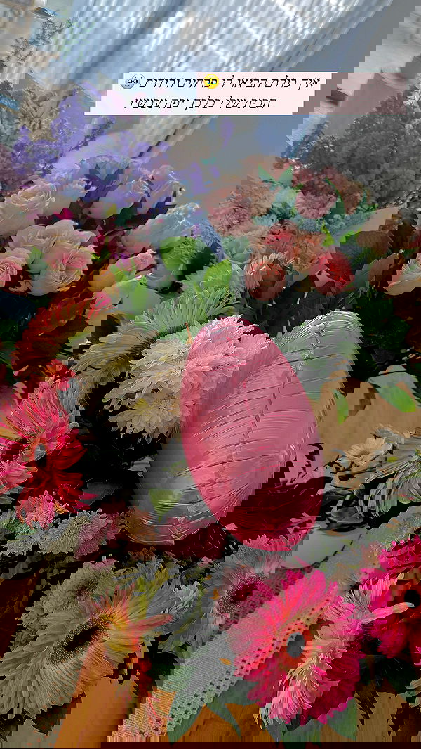 itsilanosh itsilanosh archive image