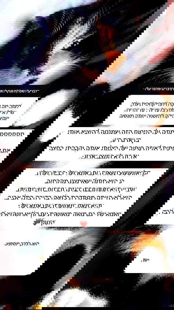 itsilanosh itsilanosh archive image