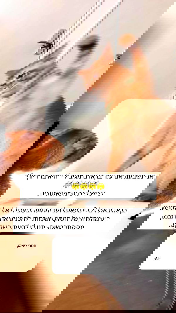 itsilanosh itsilanosh archive image