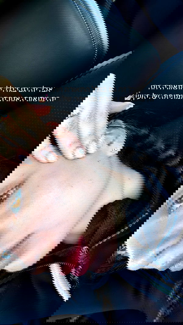 itsilanosh itsilanosh archive image