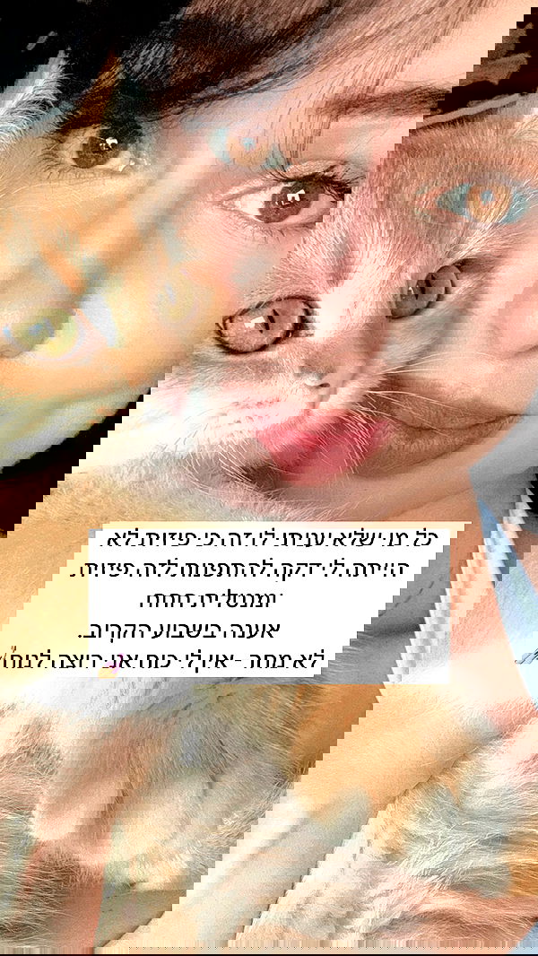 itsilanosh itsilanosh archive image