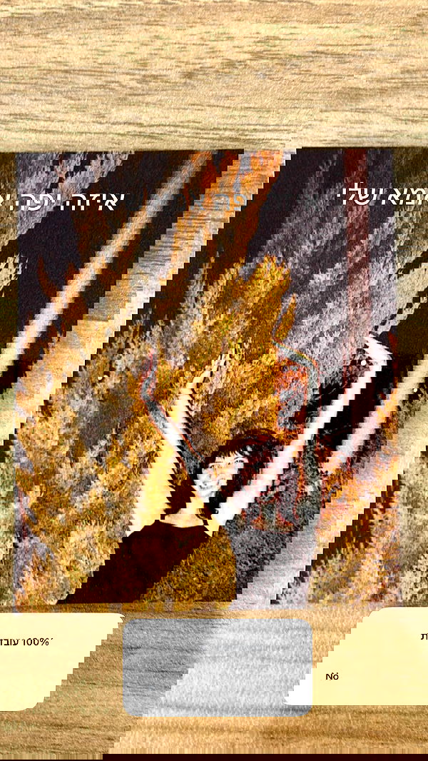 itsilanosh itsilanosh archive image