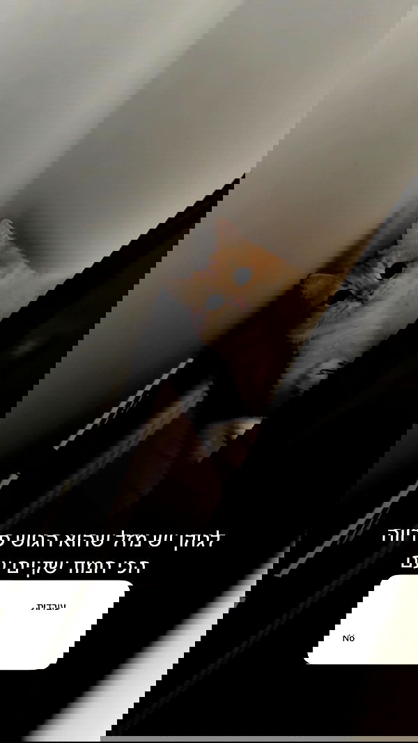 itsilanosh itsilanosh archive image