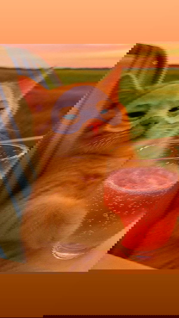 itsilanosh itsilanosh archive image