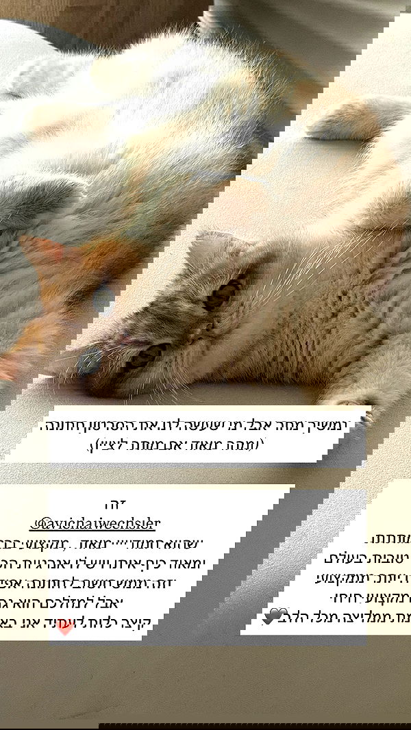 itsilanosh itsilanosh archive image