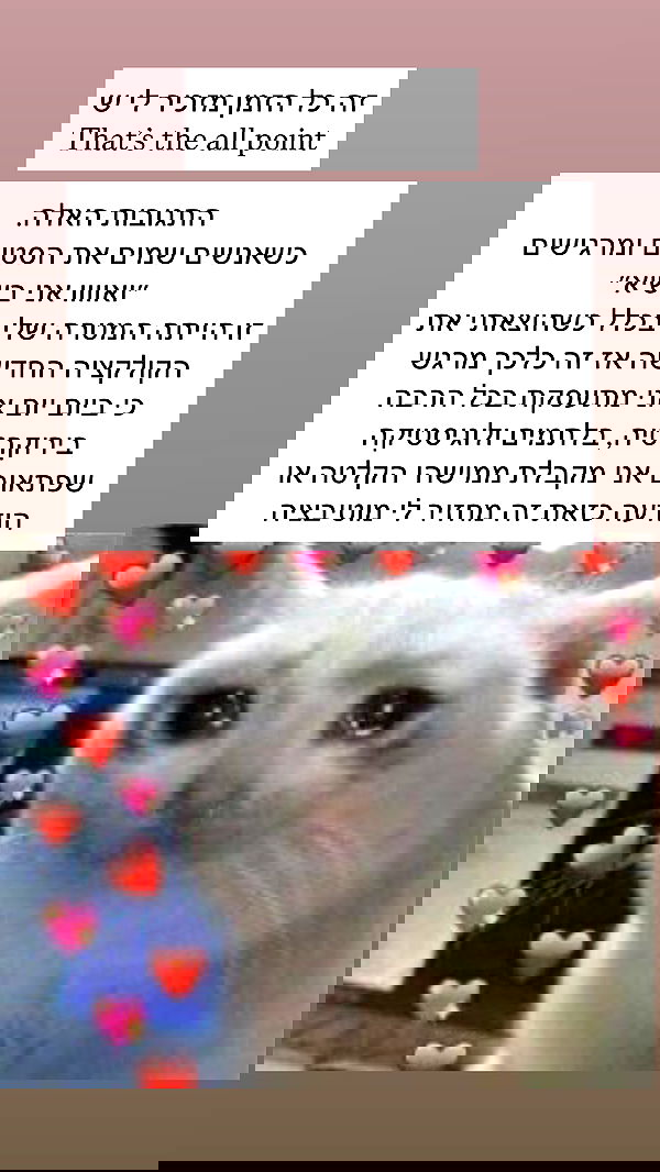 itsilanosh itsilanosh archive image