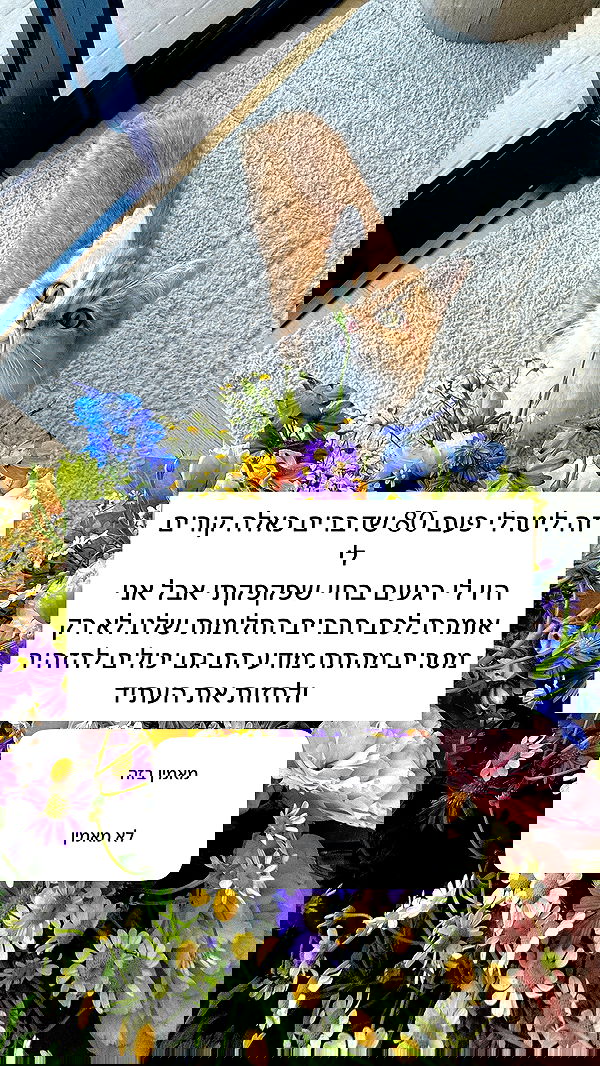 itsilanosh itsilanosh archive image