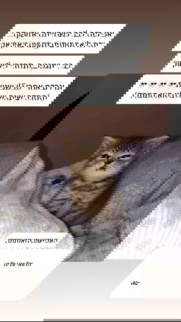 itsilanosh itsilanosh archive image