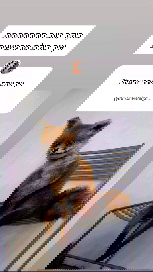 itsilanosh itsilanosh archive image