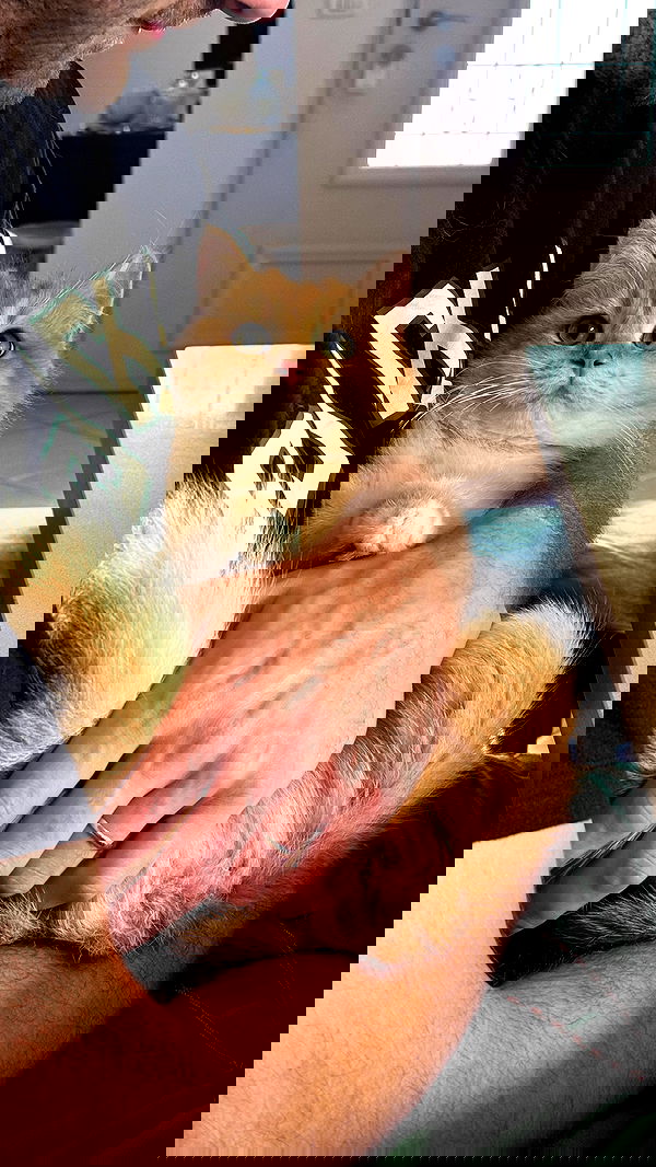 itsilanosh itsilanosh archive image