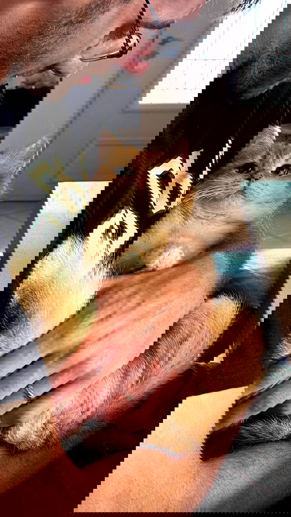 itsilanosh itsilanosh archive image