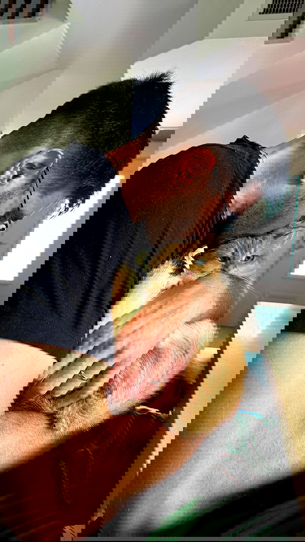 itsilanosh itsilanosh archive image