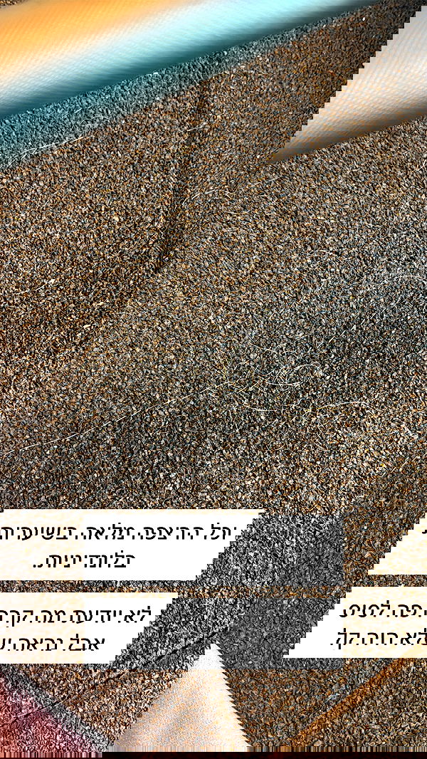 itsilanosh itsilanosh archive image