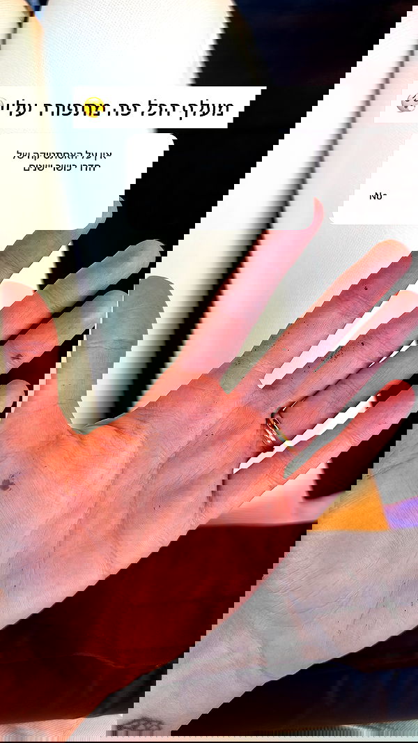 itsilanosh itsilanosh archive image