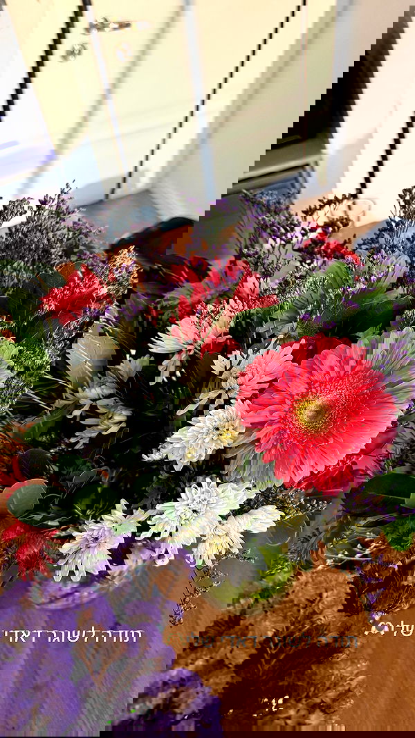 itsilanosh itsilanosh archive image