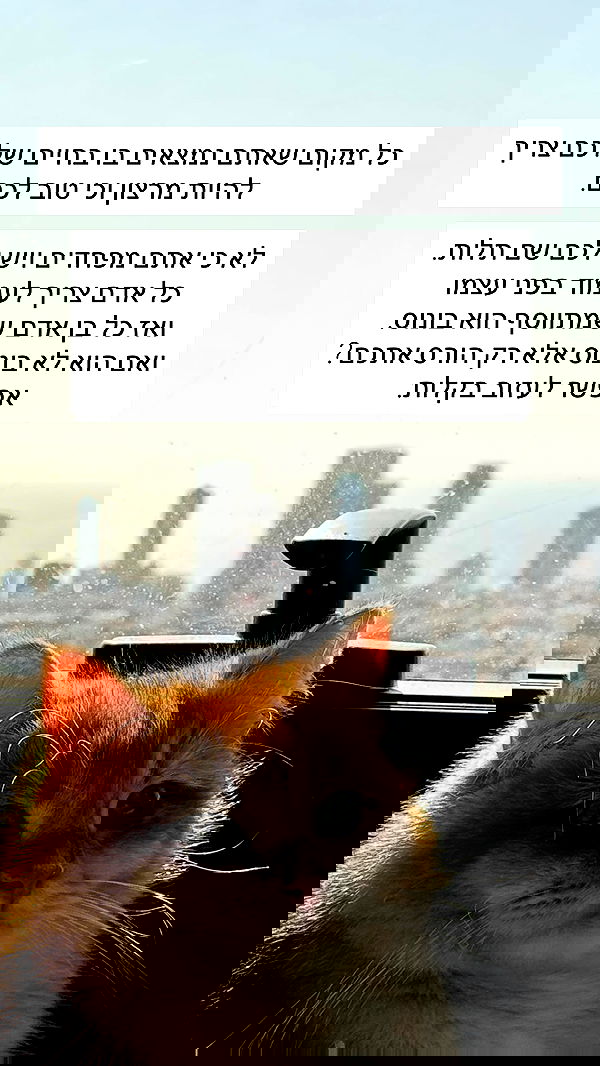 itsilanosh itsilanosh archive image