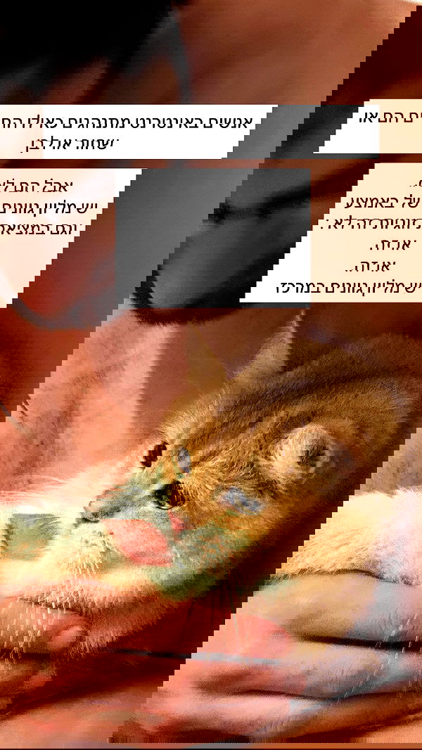 itsilanosh itsilanosh archive image