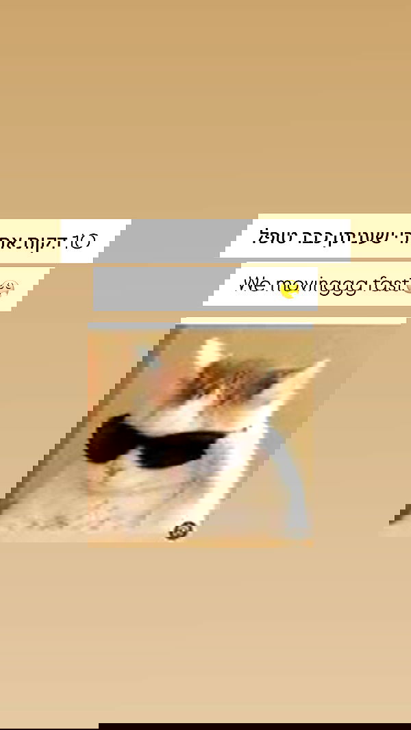 itsilanosh itsilanosh archive image