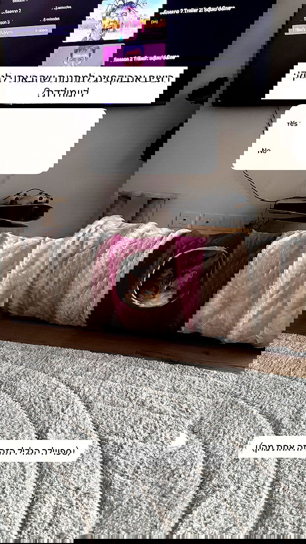 itsilanosh itsilanosh archive image