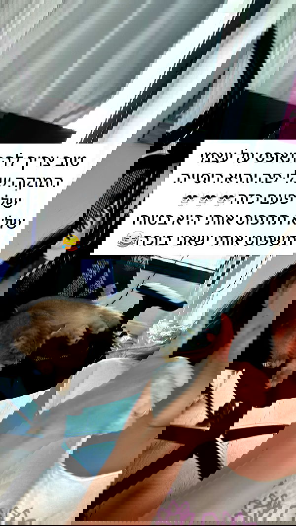 itsilanosh itsilanosh archive image